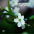DEEP CONTROL GROUP MIX july 2014