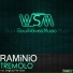 RAMiNiO