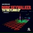 Dude Skywalker