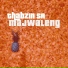 Thabzin SA feat. Soweto TSHEPISO, Tyler icu