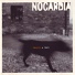 Nocardia