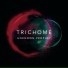 Trichome