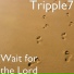 Tripple7