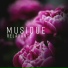 Relaxing Music