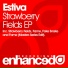 Estiva