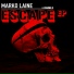 Marko Laine