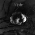 Lodan
