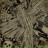 Alexisonfire