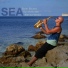 Solar Sound, Syntheticsax, Marina Vesna