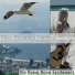 Rio Bossa Nova
