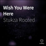 Stukza Rooted