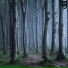 Lost & Sound
