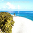 Charming Tropical Christmas