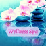 Zen Spa Music Relaxation Gamma