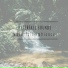 Waterfall Sounds