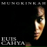 Euis Cahya