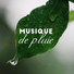Oasis de Musique Nature Relaxante