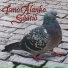 Ismo Alanko Säätiö