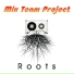 Mix Team Project
