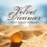 Velvet Dreamer Tim Gelo