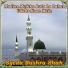 Syeda Bushra Shah