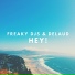 Freaky DJ's, Delaud