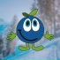 Grönklittsgruppen