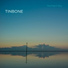 Tinbone