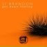 Si Brandon