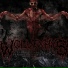 WolveXhys