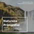 Beatriz Natureza Flores