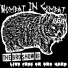 Wombat In Combat