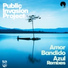 Public Invasion Project