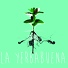 La Yerbabuena