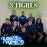 Los Yonic's de Bruno Ayvar