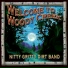 Nitty Gritty Dirt Band