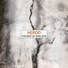Herod