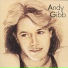 Andy Gibb