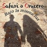 Safari O Crucero