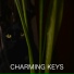 Golden Keys
