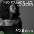 Neo Soul Acid Jazz Collective