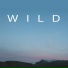 Wild