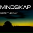Mindskap
