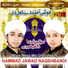 Hammad Jawad Naqshbandi
