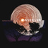 Human Factor