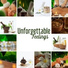 Healing Oriental Spa Collection