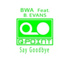 BWA Band Feat Barbara Evans