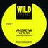 Hugo Massien, Andre VII