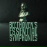 Authentic Orchestra