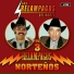 Los Relampagos Del Norte